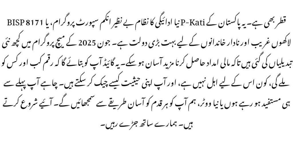 BISP 8171 New Payment System